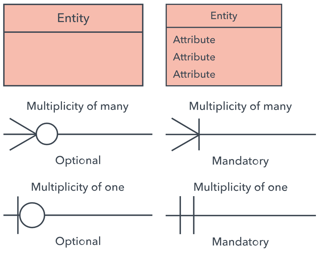 Multiplicity Er Diagram ERModelExample