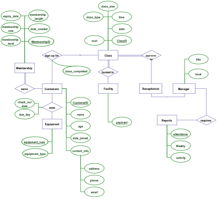 Gym Database ER Diagram