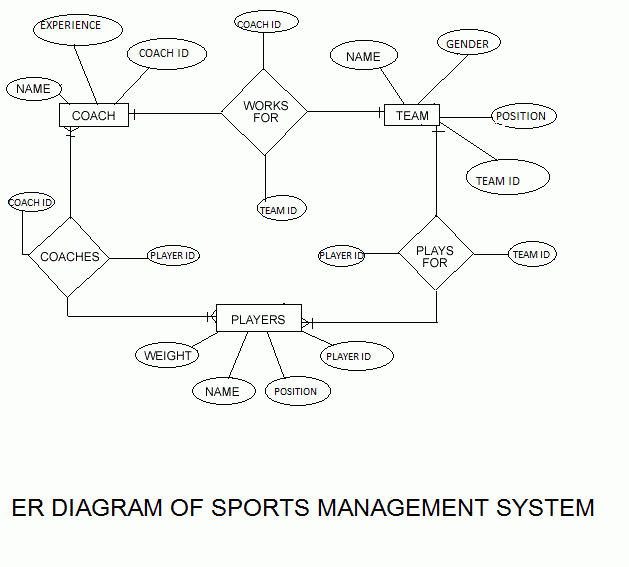 Sports Management System ER Diagrm