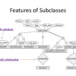 Subclass Er Diagram ERModelExample