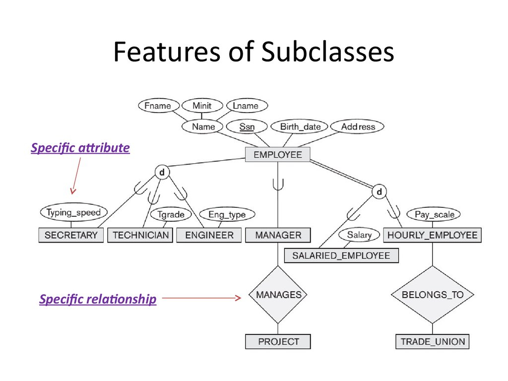 Subclass Er Diagram ERModelExample