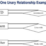 Unary Relationship Er Diagram ERModelExample