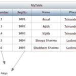 What Is A Candidate Key In Sql Programmers World