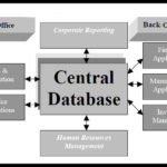 What Is ERP And Can It Help My Business