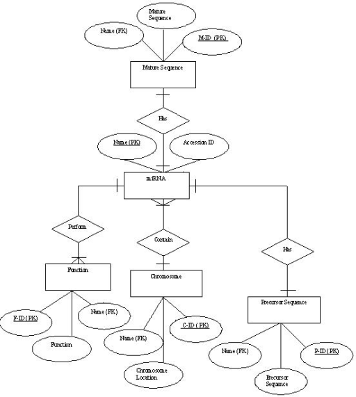 ER Diagram ConfERence Review Database