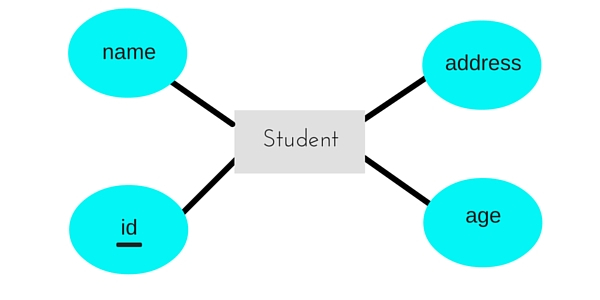 Creating ER Diagram Representation In DBMS Studytonight