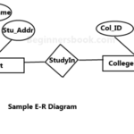 Entity Relationship Diagram ER Diagram In DBMS