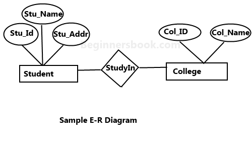 Entity Relationship Diagram ER Diagram In DBMS