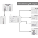 Entity Relationship Diagram Examples