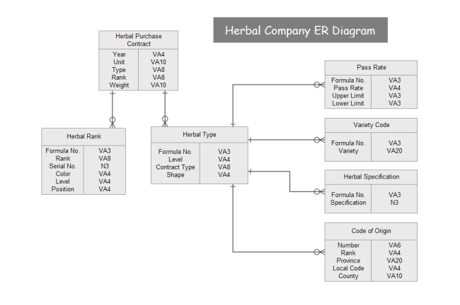 Entity Relationship Diagram Examples