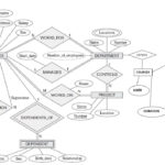 Er Diagram Blood Bank Management System ERModelExample