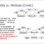 Er Diagram Entity Vs Attribute ERModelExample