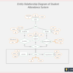 Er Diagram Gym Management System ERModelExample