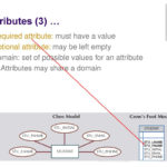 Er Diagram Optional Attribute ERModelExample