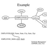 PPT Transforming ER EER Diagrams Into Relations Chapter 9