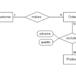 Solved Answer The Following Questions From The ER Diagram Chegg