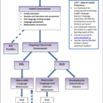 STEP Flow Chart Overview