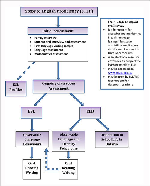 STEP Flow Chart Overview