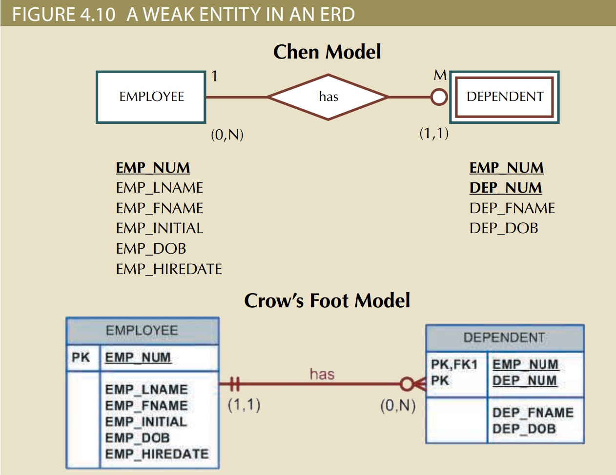 Strong And Weak Entity In Er Diagram ERModelExample