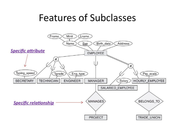 ER Diagram Subclass