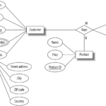 The Entity Relationship Model Learning MySQL Book