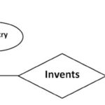 Advanced Database Management System Tutorials And Notes Entity