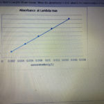 Answered Consider The Beer S Law Plot Shown Bartleby