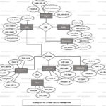 Cricket Training Management ER Diagram FreeProjectz