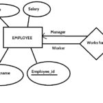 Database How Can I Create A Role Hierarchy In An ER Diagram Stack