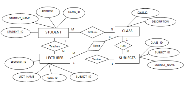 1 N M ER Diagram Meaning