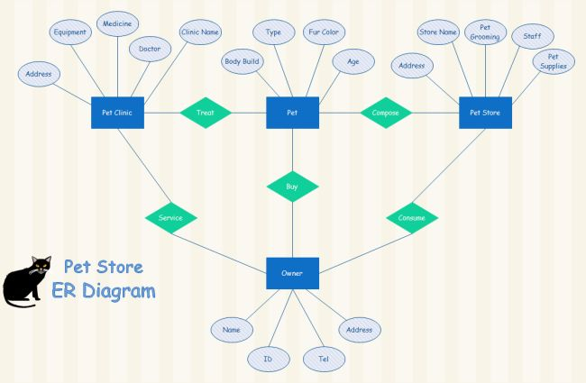 Entity Relationship Diagram Relationship Diagram Pet Store Diagram