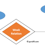 Entity Relationship Model DBMS