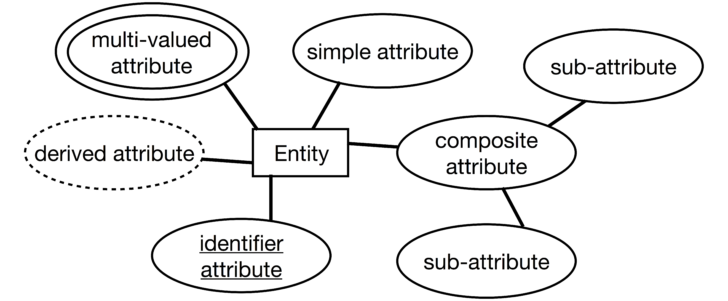 What Is DERived Attribute In ER Diagram