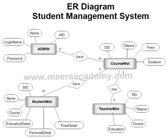 ER Diagram For Student Management System Student Management Student 