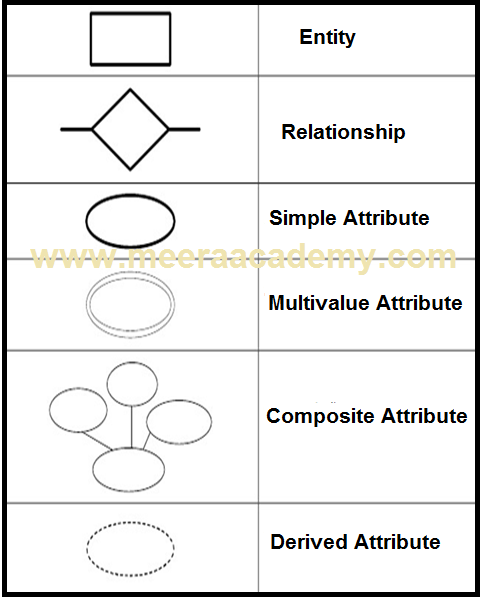 ER Diagram For Student Management System