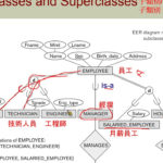 Er Diagram Superclass Subclass ERModelExample