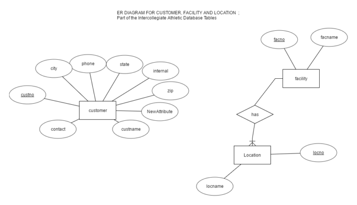 ER Diagram Plus