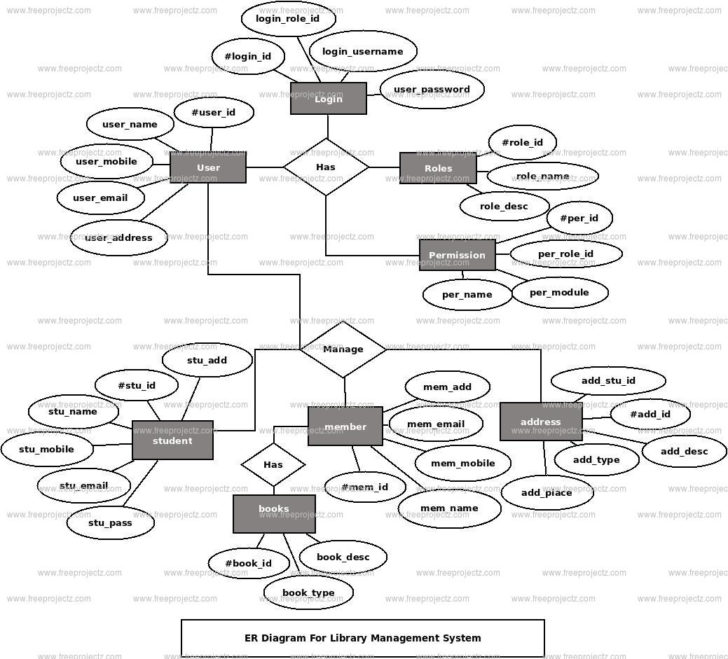 Additional Features Of ER Diagram In Dbms