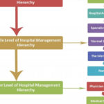 Hospital Administration Er Diagram Of Hospital Management System Steve