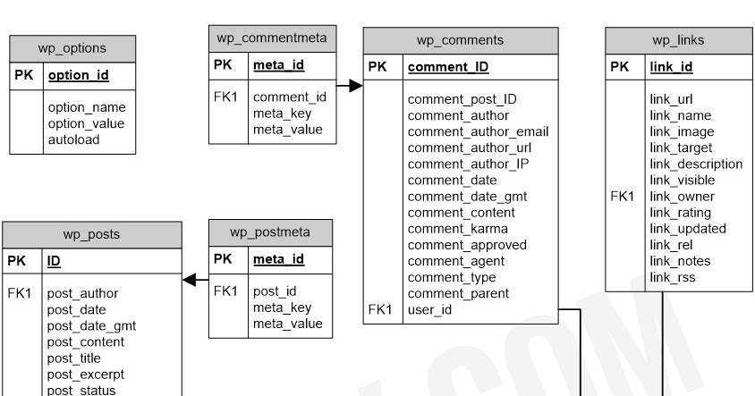 JDUy TechWhet WordPress Database ER Diagram