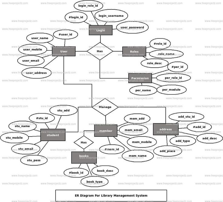 Library Management System Er Diagram Z Relationship Diagram Activity 