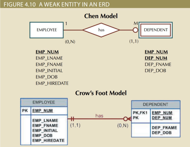 Strong And Weak Relationship In ER Diagram